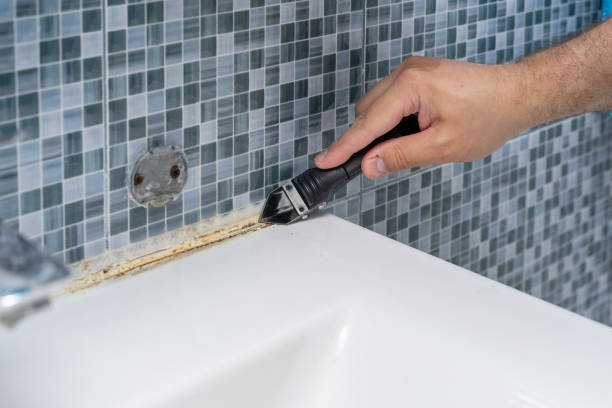 Best Mold Cleaning Services  in Abbeville, LA